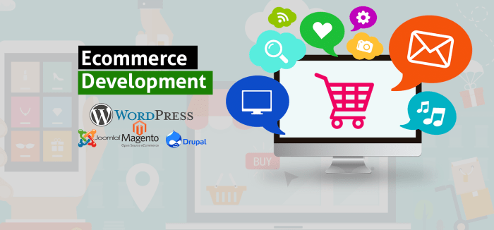 E-commerce web development